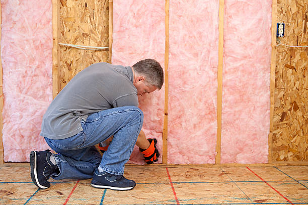 Best Insulation for Specific Applications in Holgate, OH