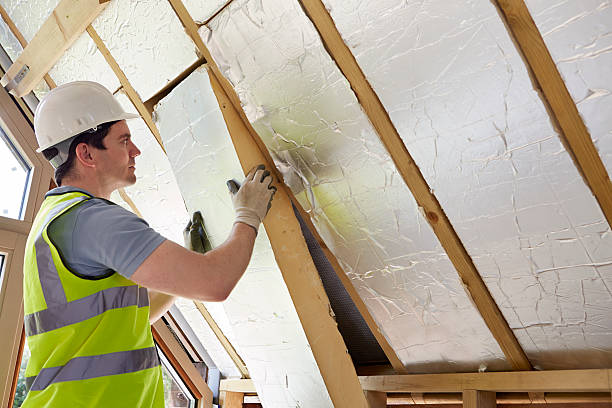Best Commercial Insulation in Holgate, OH